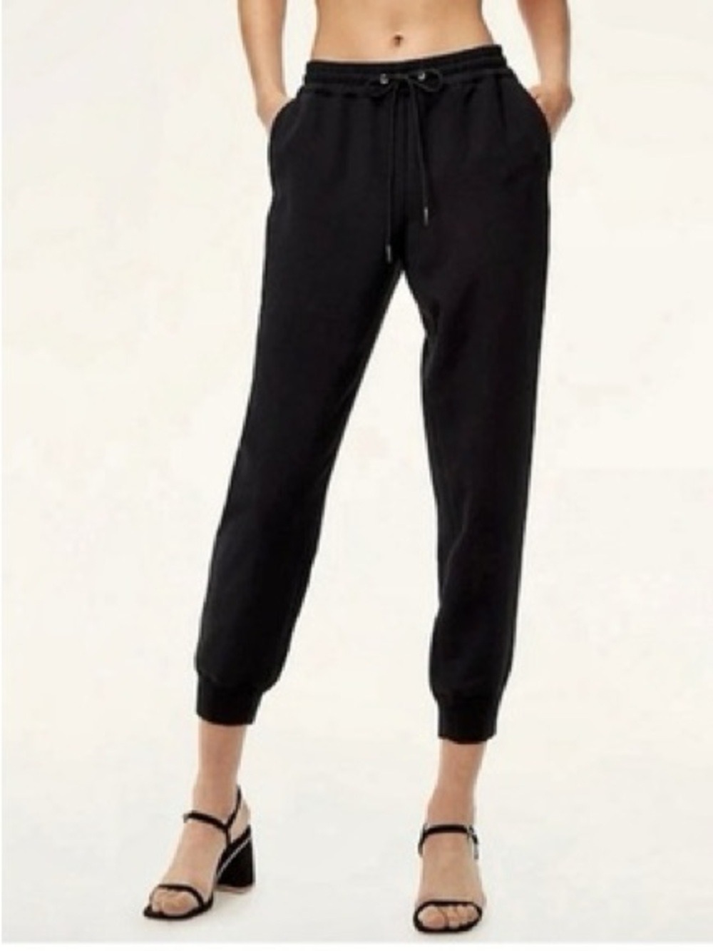 Wilfred Buffon Pant Size Large Black Aritzia